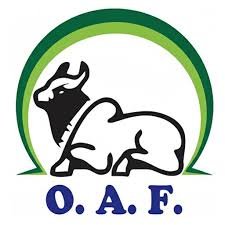 oaf